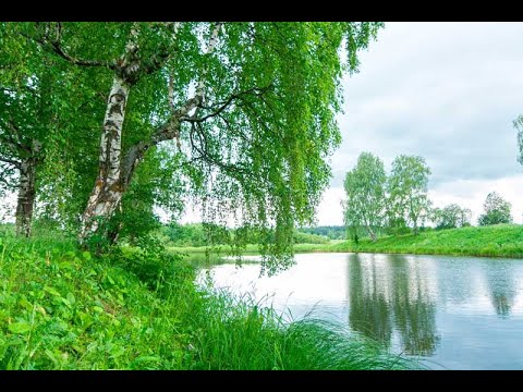 Милая сторонушка