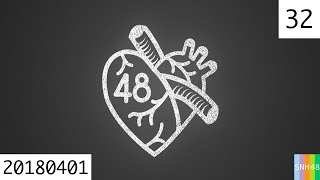 20180401 SNH48 Team SⅡ 第48区 32 莫寒“征服宇宙的元气少女”生日主题公演