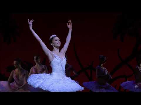 DON QUIXOTE - Dulcinea Variation (Marianela Núñez - Royal Ballet)