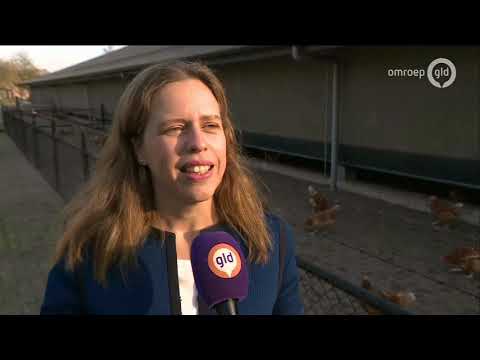 GLD Nieuws 18 februari 2019 - Maandag 18 februari