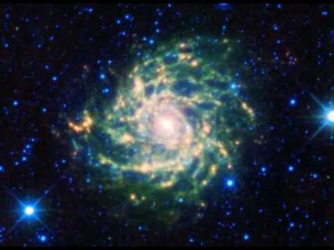 Weltraumbahnhof - BIO Space