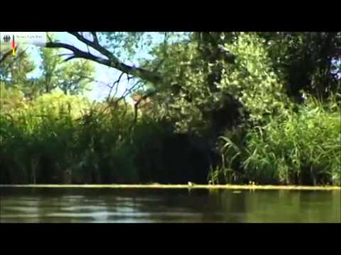 Reiseland Deutschland   kurz