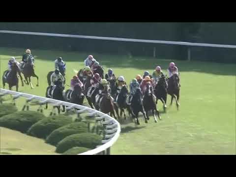 2020.10.25 2yo Newcomer (JPN) - Shahryar