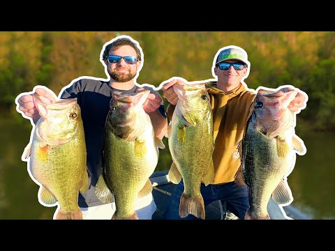 RECORD DAY OF BASS FISHING (NEW PB)
