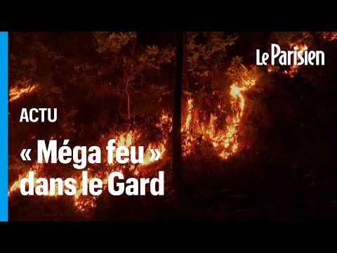 «Méga feu» dans le Gard : l’incendie, toujours en cours, va «durer plusieurs jours»