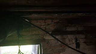 Swallows settled in my barn, made a nest part 8