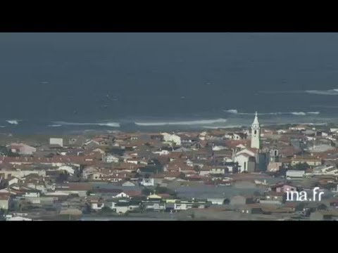 Portugal : Pelamis