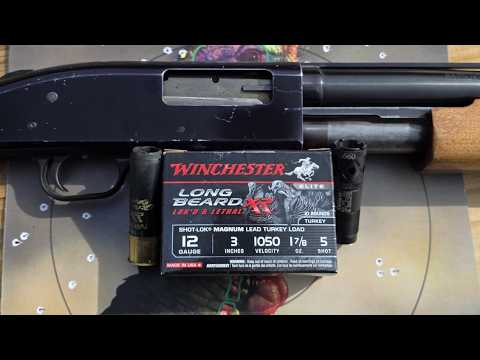 20 Gauge TSS TURKEY ammo REVIEW!!! Apex, Federal, and Nitro company COMPARISON using CARLSON'S CHOKE
