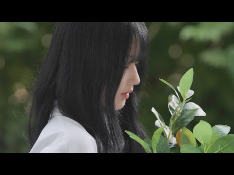 [TEASER] 소녀들의 꿈이 모여 만드는 새로운 세계｜Universe Ticket｜유니버스 티켓