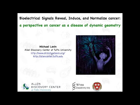 Bioelectrical signals reveal, induce, and normalize cancer