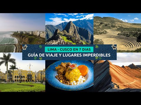 Video del tour