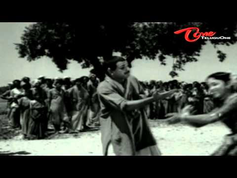Kalasi Vunte Kaladu Sukham - Telugu Songs - Bangaram Bhadradri Ramudu - NTR - Savitri