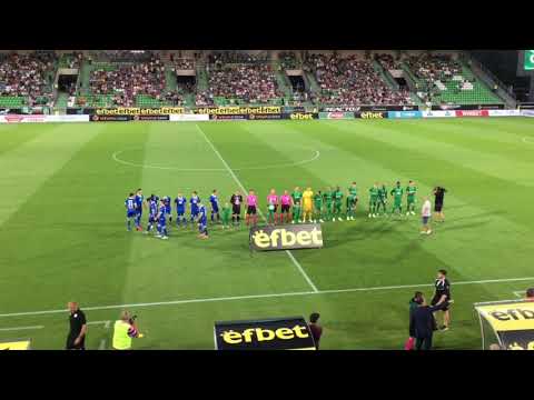 PFC Ludogorets 5 TNS FC 0. Behind the scenes, dressing room, players, eagle, interviews