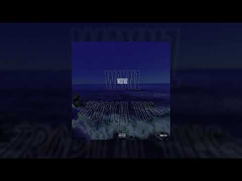 Waynz - Tropical Ting [ 1RM Music ]