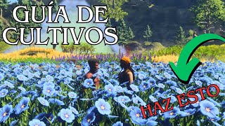 Enshrouded - HAZ esto con los CULTIVOS