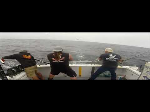 Greg Webb, Glenn Wilson and Tom Dolan on the Bonito bite aboard the MEGA-BITE