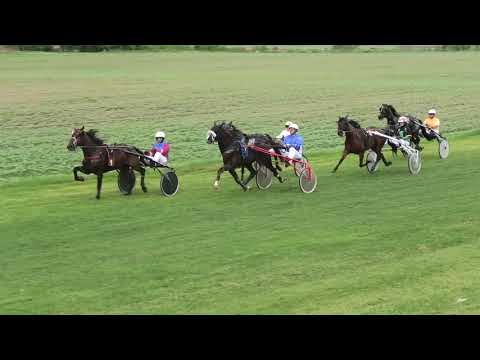 Trka "JKP Dolovi-Dolovo"  22.05.2019 Triumph Oaks - Miodrag Pantić