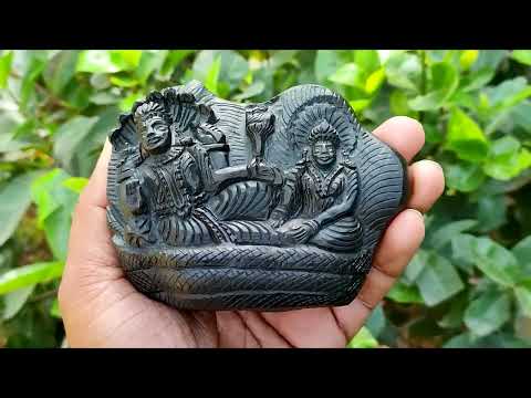 Divine Lakshmi Narayana Sacred Blessings Shaligram Rarest Sculpture video