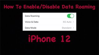 How To Enable/Disable Data Roaming iPhone 12