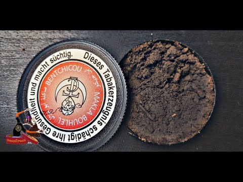 Makla Bouhlel Bentchicou (leichter Fail) I Snusfreak.com