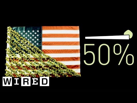 The Future of Legal Marijuana Explained with Marijuana | Data Attack