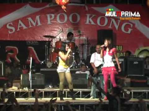 PANTURA 220808 - Puspa - Jenny Lia