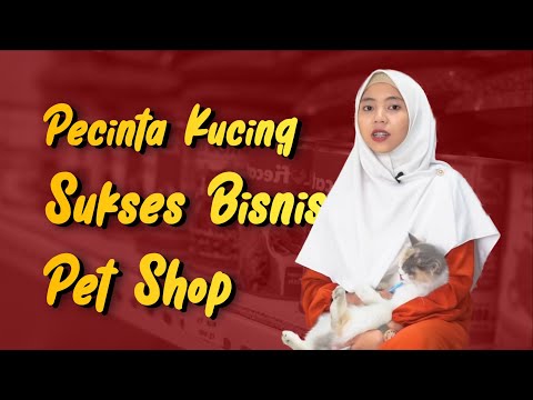 Berawal dari Pecinta Kucing Kini Sukses Menekuni Bisnis Pet Shop | Cabai Rawit