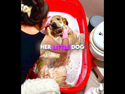 Dieses Mädchen dachte, ihr Hund sei gestorben 🐶😔 #shorts