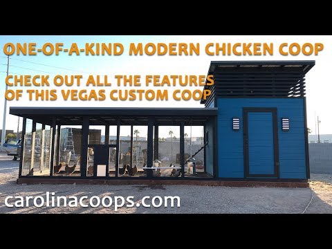 download lagu mp3 mp4 Dream Chicken Coop, download lagu Dream Chicken Coop gratis, unduh video klip Dream Chicken Coop