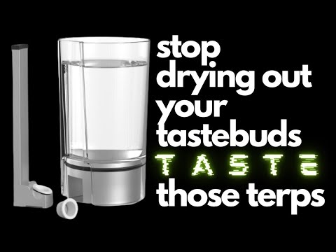 Tafée Bowle In Depth Review - This Thing May Be A Game Changer