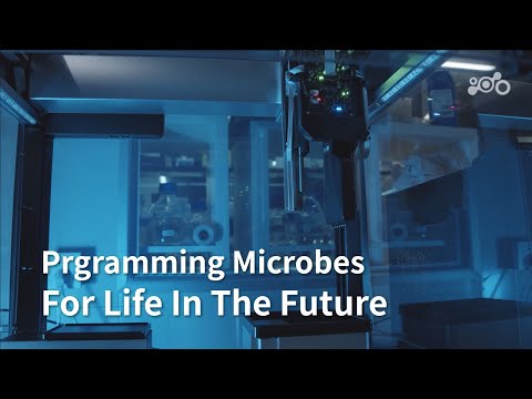 Bluepha - We Create Life for The Future.