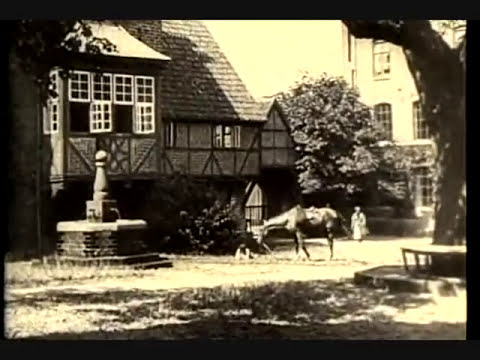Nosferatu (1922) - Full Movie - Organ Improvisation (Mathias Rehfeldt)