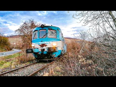 Automotor MALAXA 78-1029-8 în apropiere de Halta Paulian cu R3128 Brad-Arad