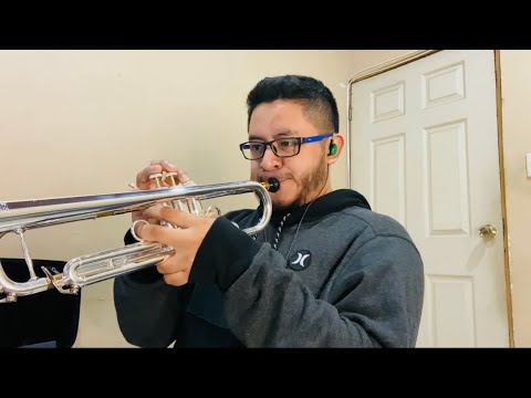 Como Hizo David (Cover)