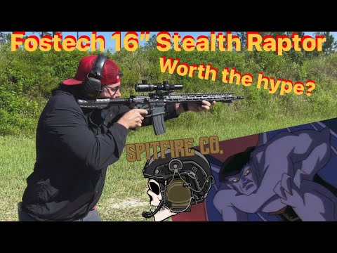 Fostech Sealth Raptor AR15, Is it Worth the price ????