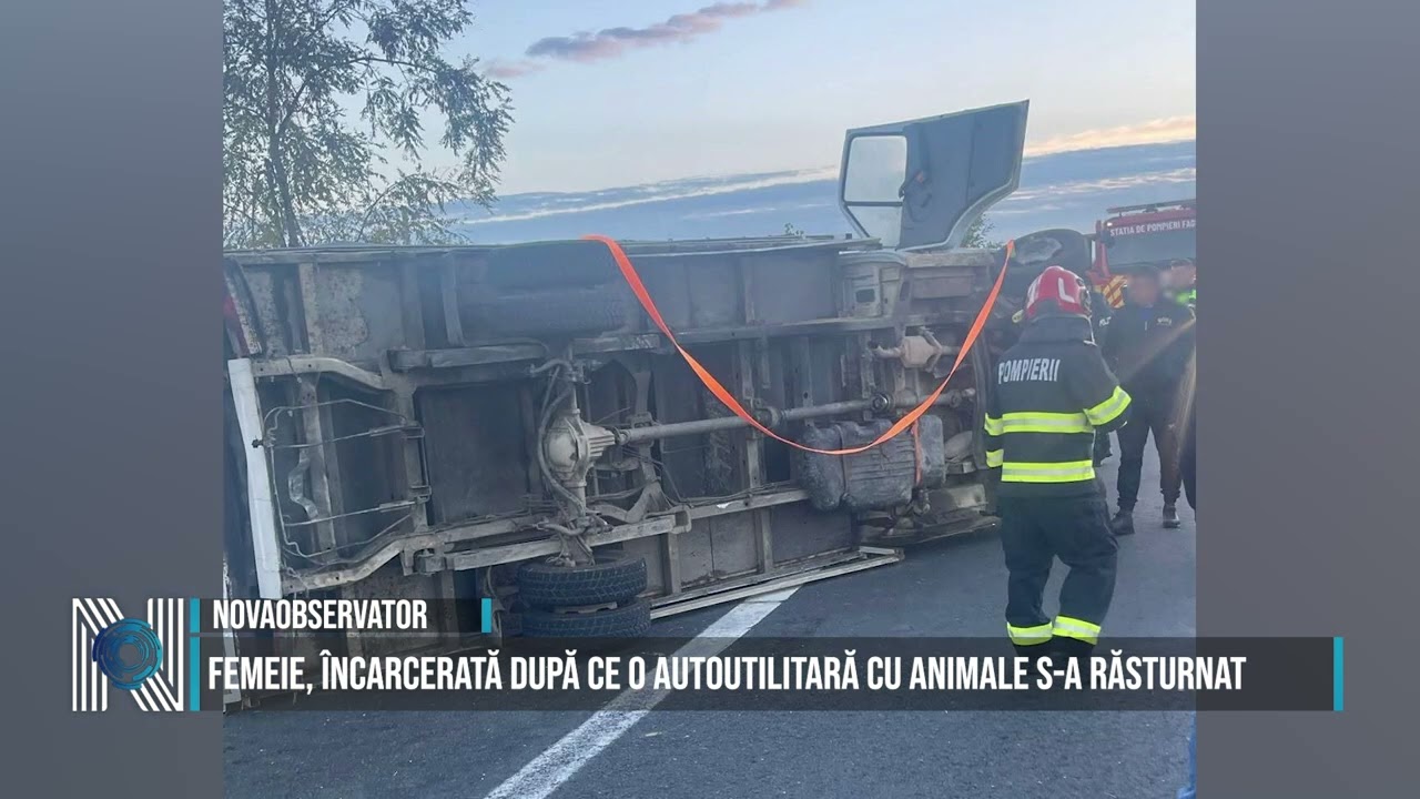 Femeie, încarcerată după ce o autoutilitară cu animale s-a răsturnat