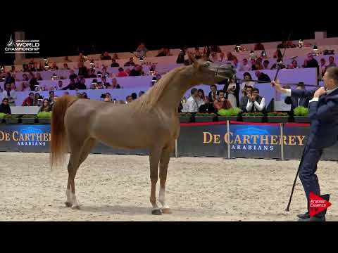 N.23 EMANOLLA - Paris 2017 - Junior Fillies (Class CM2A)