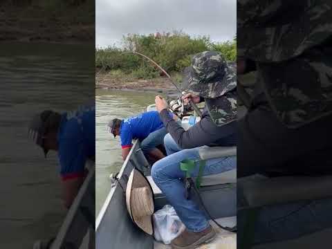 Aventura e vida selvagem no Pantanal de Cáceres