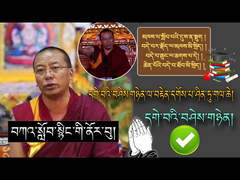 🚨Geshe Jamphel Loshey🙏🚨དགེ་བའི་བཤེས་གཉེན་ལ་བརྟེན་རྒྱུ་ཤིན་ཏུ་གལ་ཆེ།🙇བོད་ཀྱི་བསླབ་བྱ།#TibetanADVICE