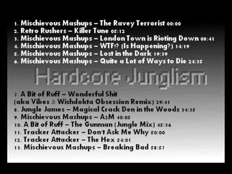 Hardcore Junglism - A Mix by Hardcore James - Jungle / Breakbeat Hardcore