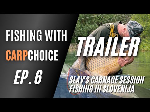 Slav's carnage session TRAILER ( carp fishing in Slovenia)