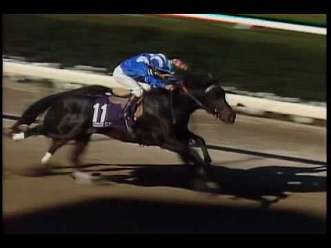 1990 Breeders Cup Sprint