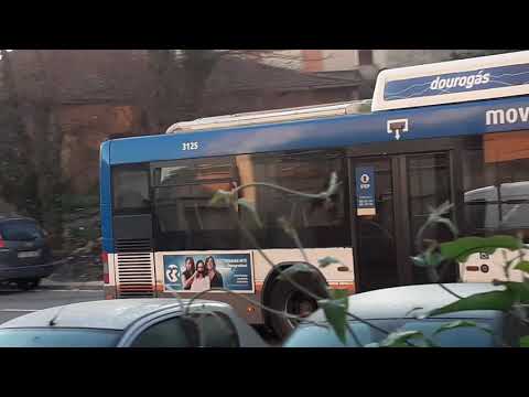 STCP linha 805 veiculo 3125