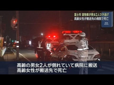 YouTube Video 高齢の男女２人がひき逃げされる　女性は搬送先の病院で死亡を確認
