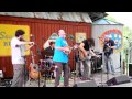 The Gourds - Ringing Dark and True @ Albino Skunk Fest, Greer SC (1st set) 10/08/11