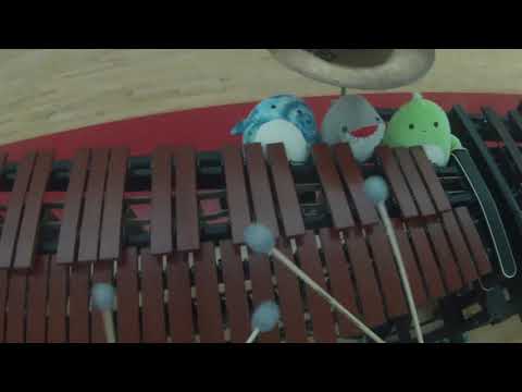 RHS 2021 Marimba Cam - Bradley Reed