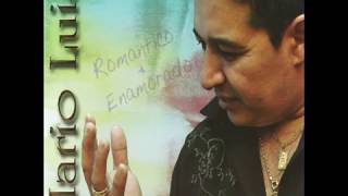 No Voy A Llorar Lyrics English Translation