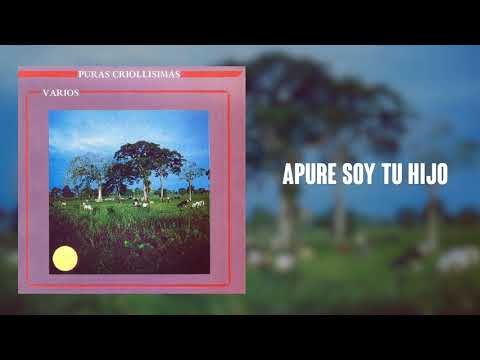 Apure Soy Tu Hijo - Francisco Montoya | Cover Audio | Música Llanera