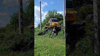 حفارة خطوية الحركة Menzi Muck A71 T2 Mobil | صورة 4 - Machineryline