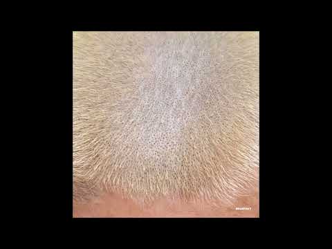 Barnt - This Is For Decor Only [KOMPAKT442]